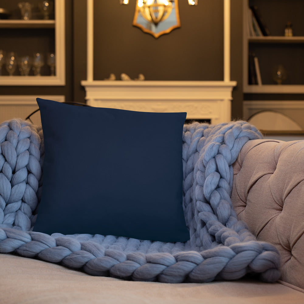 The Embrace Pillow