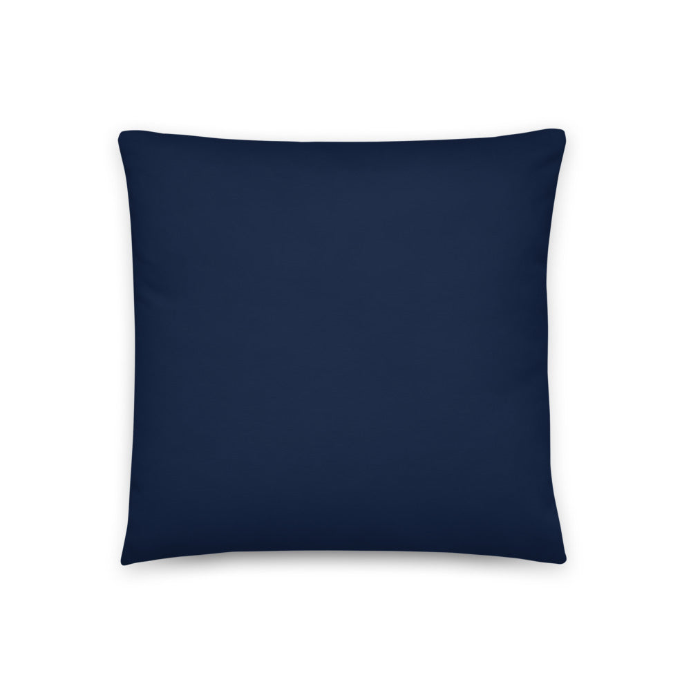 Caribbean Sea Pirates Pillow