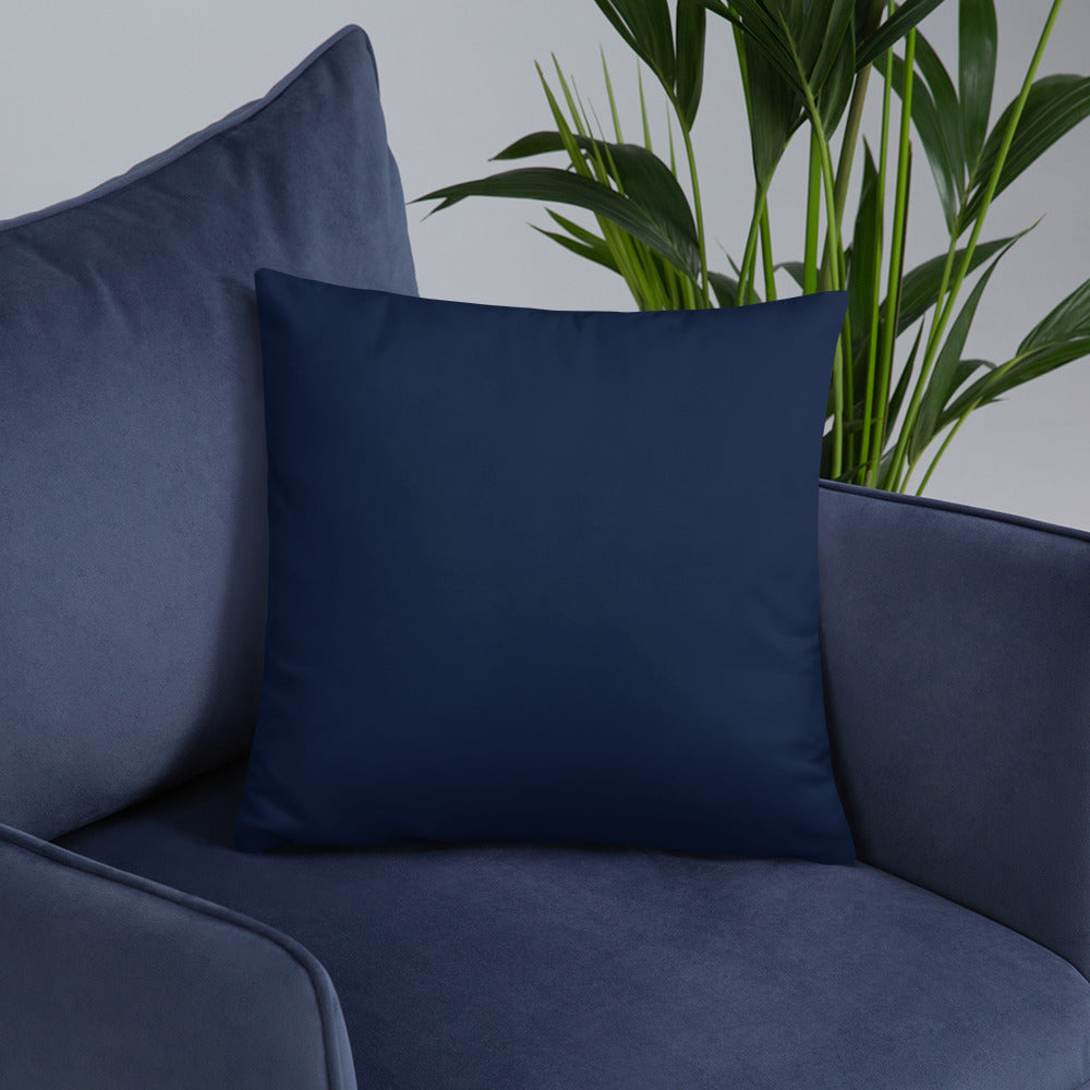 The Embrace Pillow