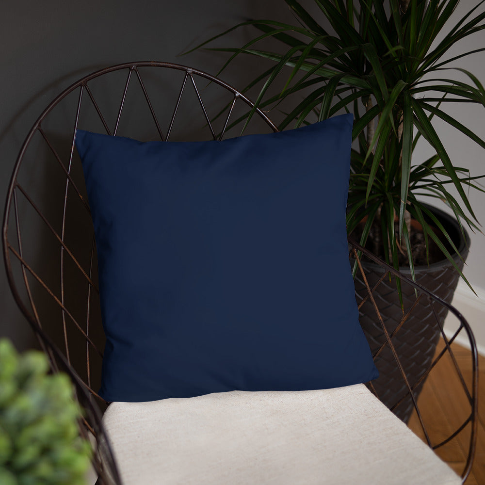The Embrace Pillow