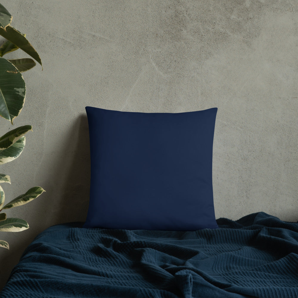 The Embrace Pillow