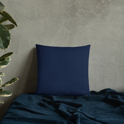 The Embrace Pillow
